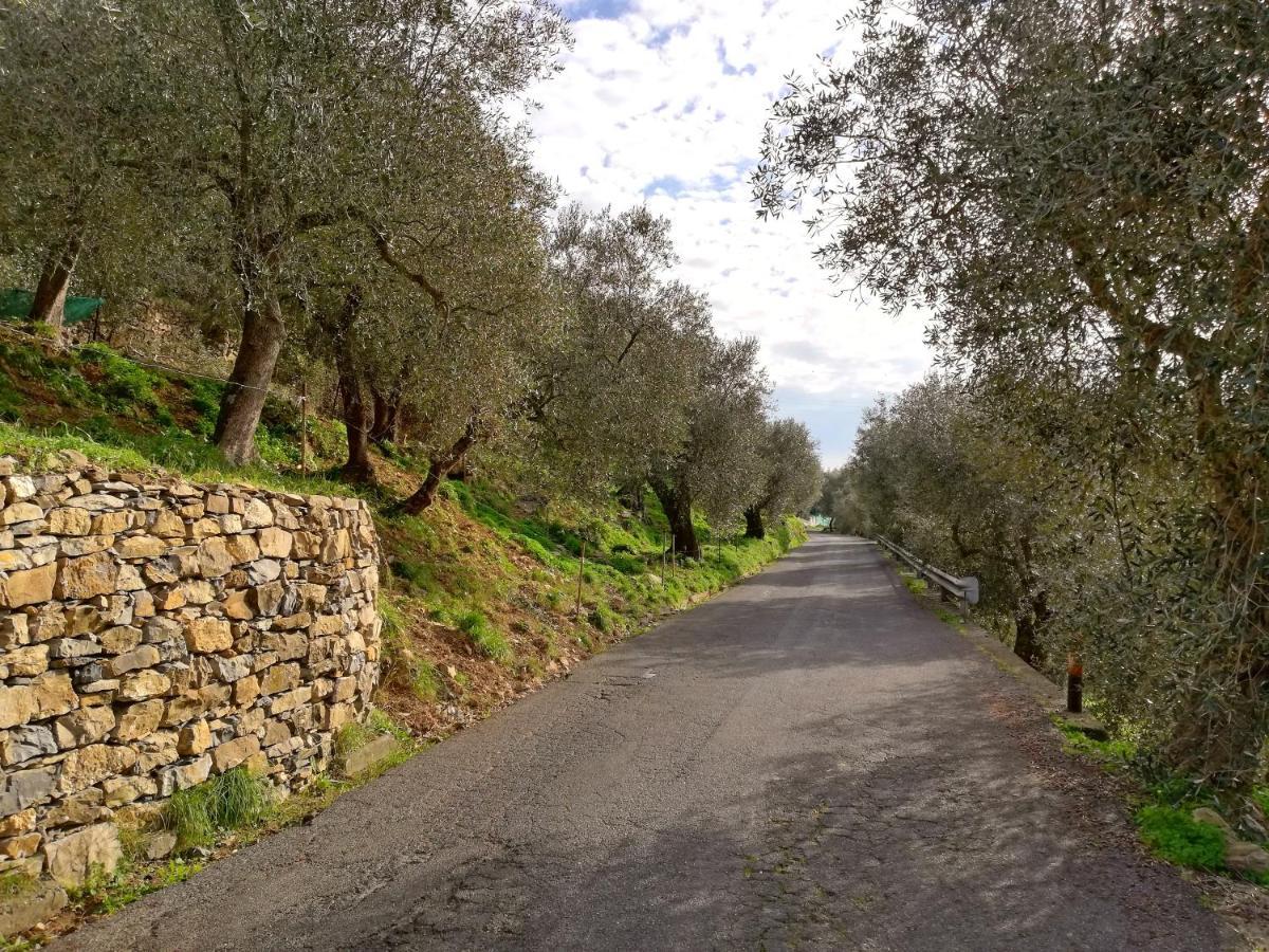 Case Vacanze Borgo Faraldi Villa Faraldi Buitenkant foto